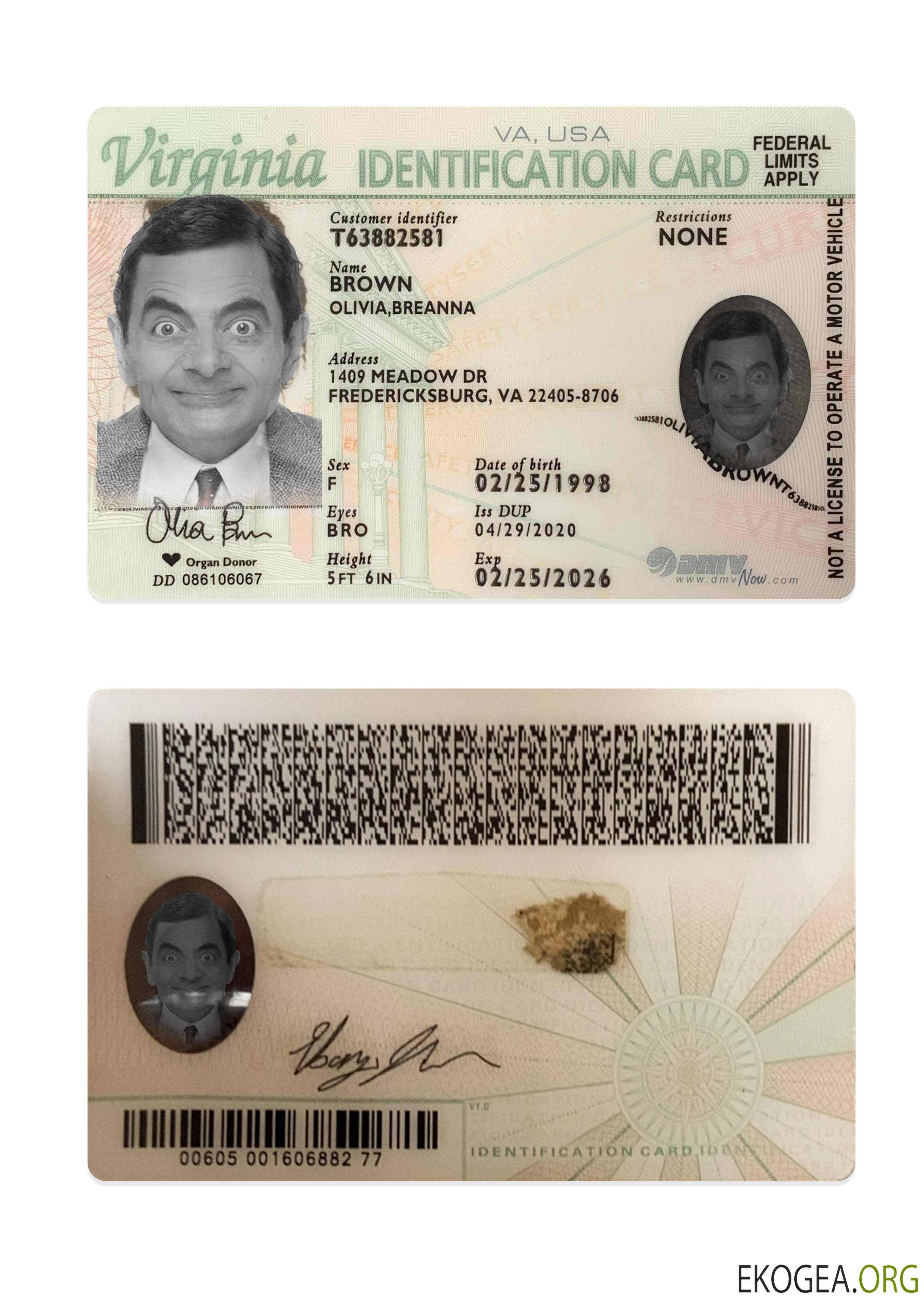 Carte d'identité de Virginie aux États Unis